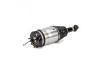 Air Spring Strut