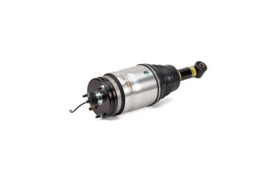 Air Spring Strut
