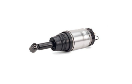 Air Spring Strut, Image 2