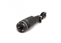 Air Spring Strut