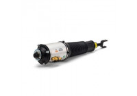 Air Spring Strut