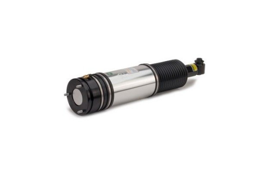 Air Spring Strut