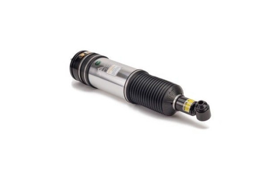Air Spring Strut, Image 2