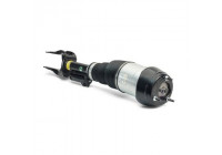 Air Spring Strut