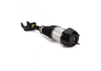 Air Spring Strut