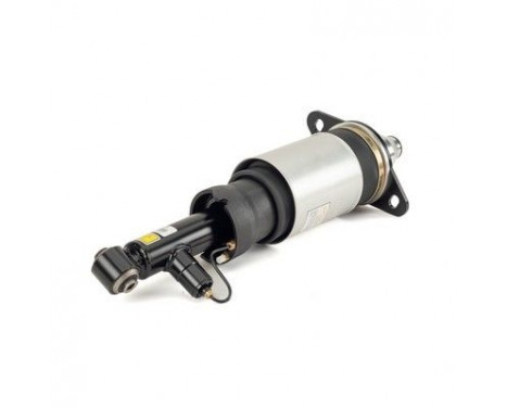 Air Spring Strut, Image 2