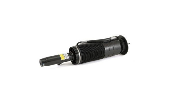 Air Spring Strut