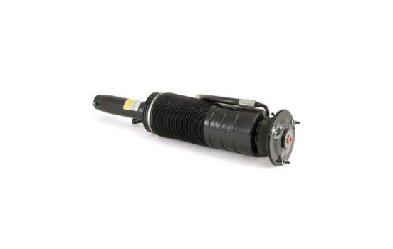 Air Spring Strut, Image 2