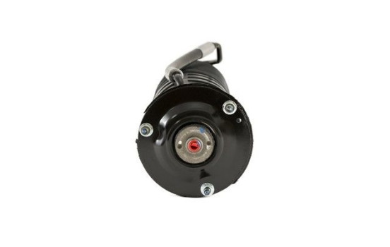 Air Spring Strut, Image 4