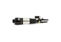 Air Spring Strut