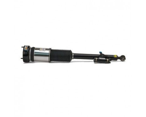 Air Spring Strut, Image 4