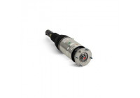 Air Spring Strut
