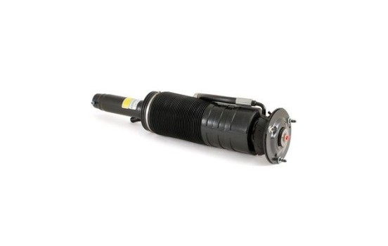 Air Spring Strut, Image 5
