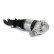 Air Spring Strut