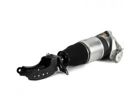 Air Spring Strut, Image 2