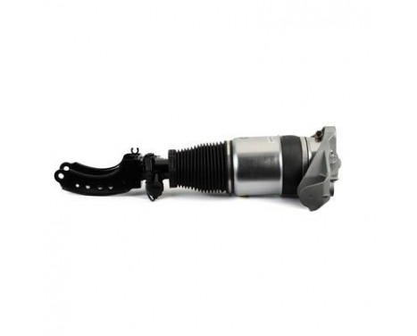 Air Spring Strut, Image 4