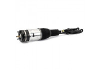 Air Spring Strut