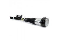 Air Spring Strut