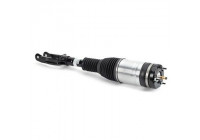 Air Spring Strut