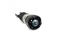 Air Spring Strut