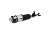 Air Spring Strut