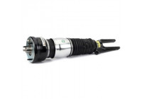 Air Spring Strut
