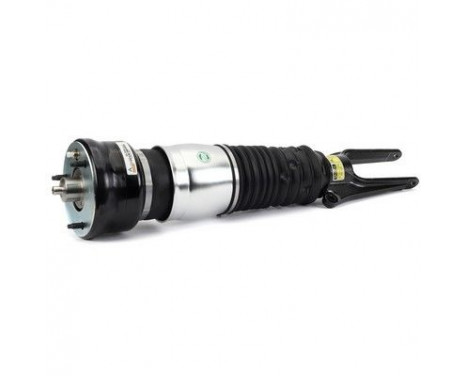 Air Spring Strut