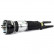 Air Spring Strut