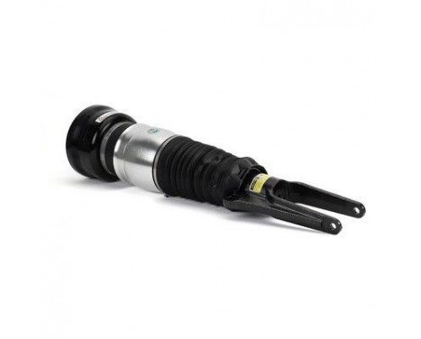 Air Spring Strut, Image 2