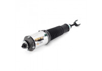Air Spring Strut