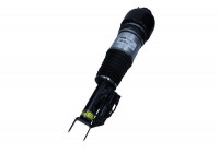 Air Spring Strut