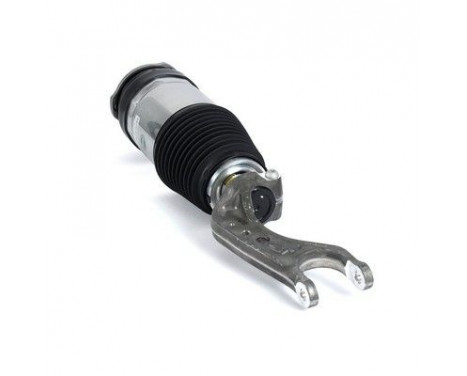 Air Spring Strut, Image 2