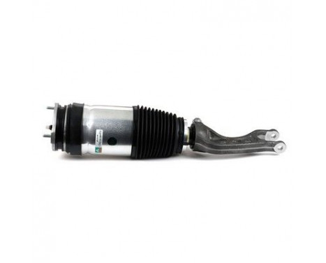 Air Spring Strut, Image 4