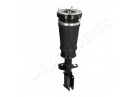 Air Spring Strut