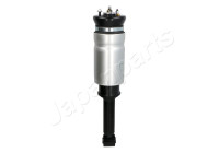 Air Spring Strut