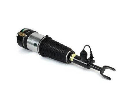 Air Spring Strut, Image 4