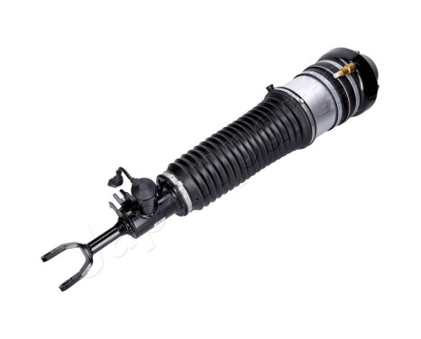 Air Spring Strut, Image 2