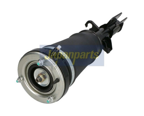 Air Spring Strut, Image 3