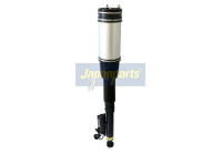 Air Spring Strut