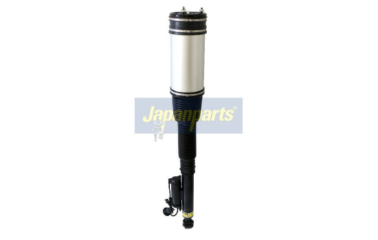 Air Spring Strut