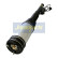 Air Spring Strut, Thumbnail 2