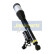 Air Spring Strut, Thumbnail 3