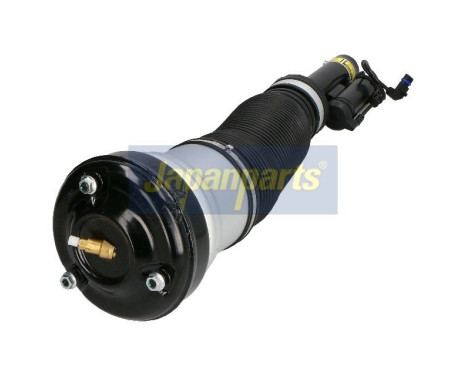 Air Spring Strut, Image 2