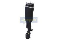 Air Spring Strut
