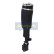 Air Spring Strut