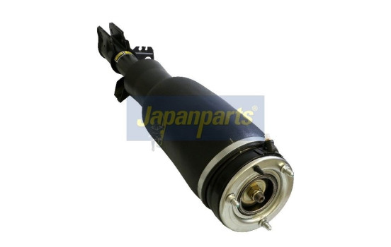 Air Spring Strut, Image 2