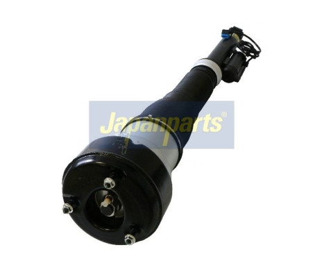 Air Spring Strut, Image 2