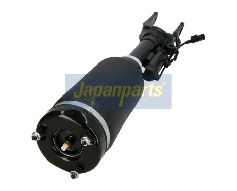 Air Spring Strut, Image 2