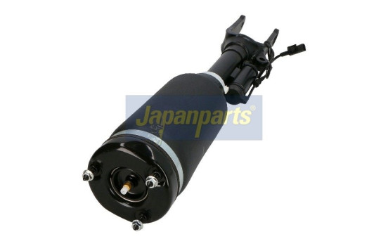 Air Spring Strut, Image 2