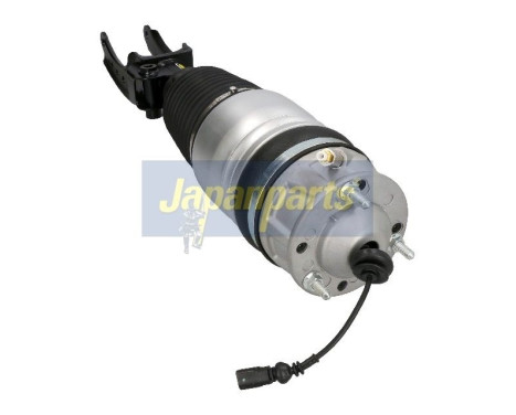 Air Spring Strut, Image 2